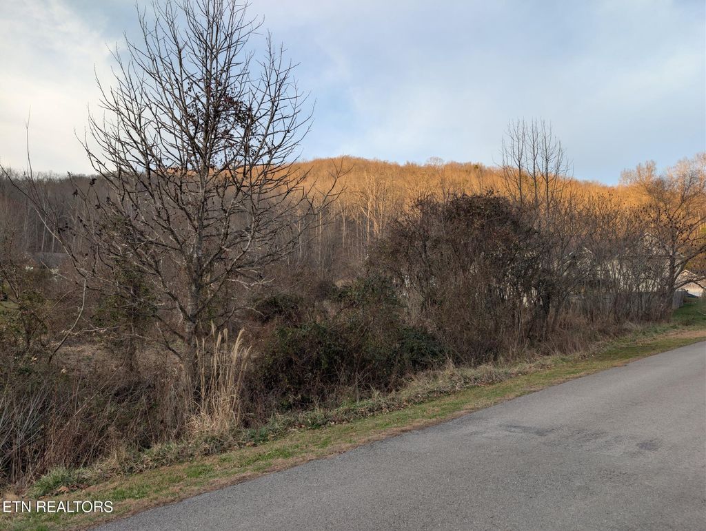 Photo of Windermere, Middlesboro, KY 40965 (MLS # 1326396)