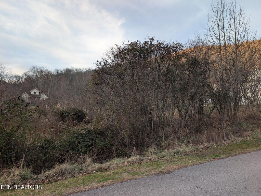 Photo of Windermere, Middlesboro, KY 40965 (MLS # 1326396)