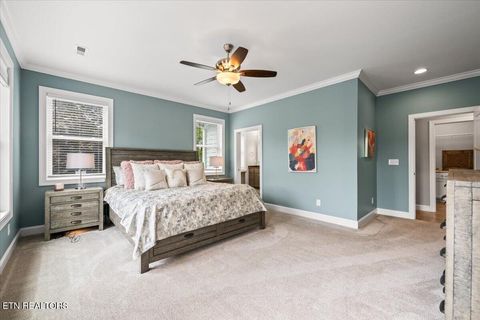 Tiny photo for 207 Cameron Loop Lane, LaFollette, TN 37766 (MLS # 1339688)