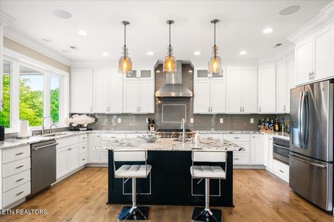 Tiny photo for 207 Cameron Loop Lane, LaFollette, TN 37766 (MLS # 1339688)
