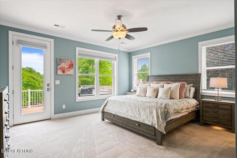 Tiny photo for 207 Cameron Loop Lane, LaFollette, TN 37766 (MLS # 1339688)