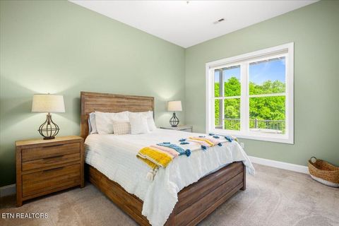 Tiny photo for 207 Cameron Loop Lane, LaFollette, TN 37766 (MLS # 1339688)