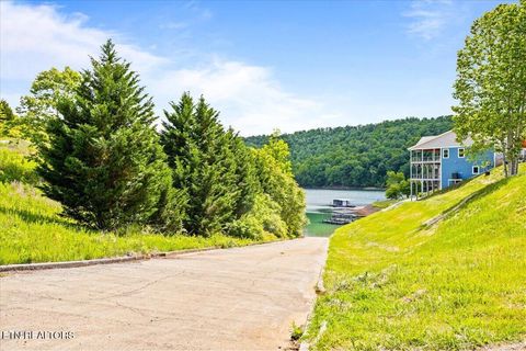 Tiny photo for 207 Cameron Loop Lane, LaFollette, TN 37766 (MLS # 1339688)