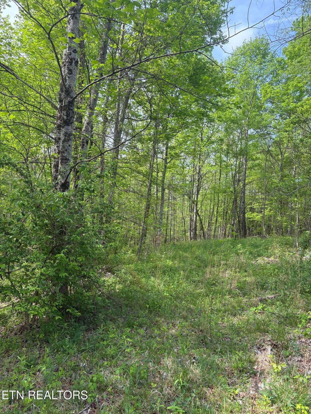 Photo of 157 Casteel Rd, Sparta, TN 38583 (MLS # 1339470)
