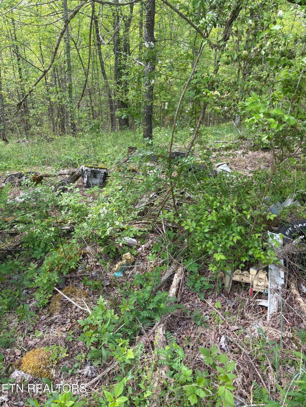 Photo of 157 Casteel Rd, Sparta, TN 38583 (MLS # 1339470)