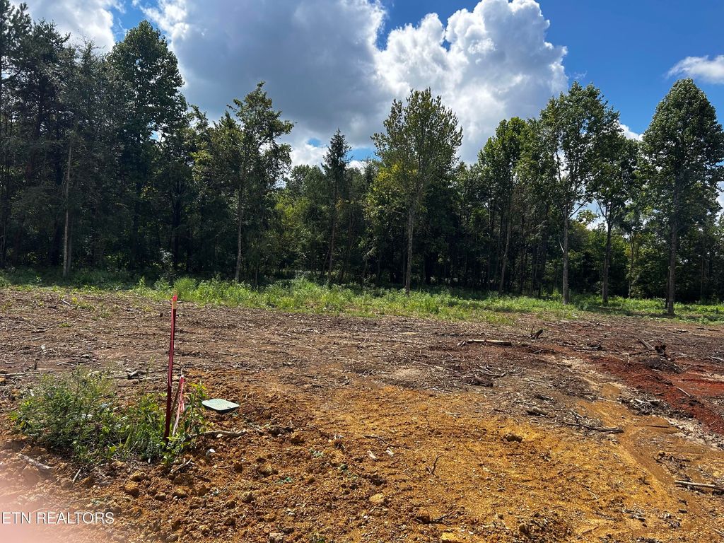 Photo of 736 Old Cemetery Rd, Madisonville, TN 37354 (MLS # 1275236)