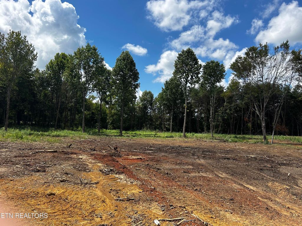 Photo of 736 Old Cemetery Rd, Madisonville, TN 37354 (MLS # 1275236)