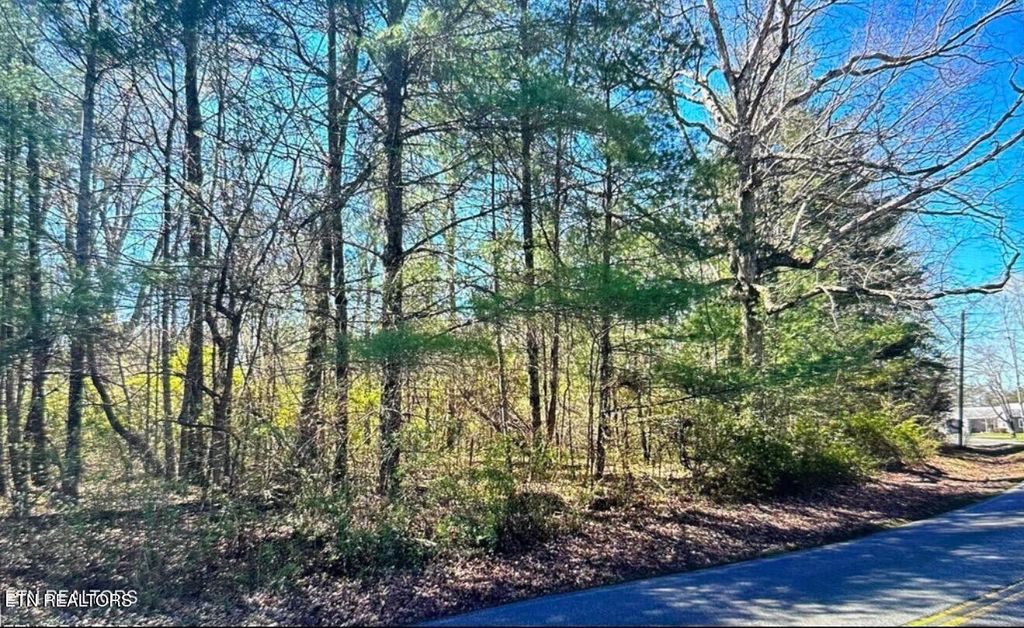 Photo of 9432 Cherokee Tr, Crossville, TN 38572 (MLS # 1335037)