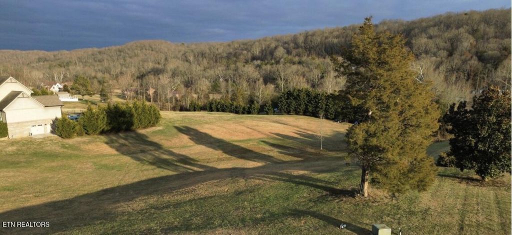 Photo of 145 Old Farm Rd, Lenoir City, TN 37771 (MLS # 1330502)