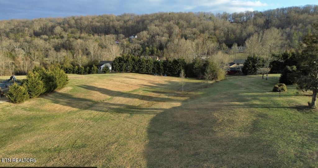 Photo of 145 Old Farm Rd, Lenoir City, TN 37771 (MLS # 1330502)
