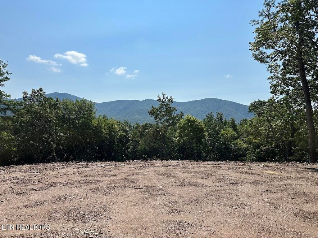 Photo of 386 Harold Witt Rd, Tellico Plains, TN 37385 (MLS # 1275482)