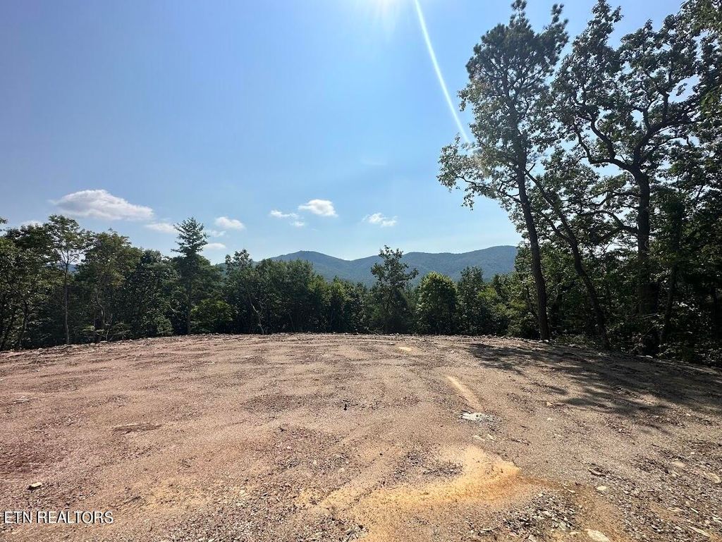 Photo of 386 Harold Witt Rd, Tellico Plains, TN 37385 (MLS # 1275482)