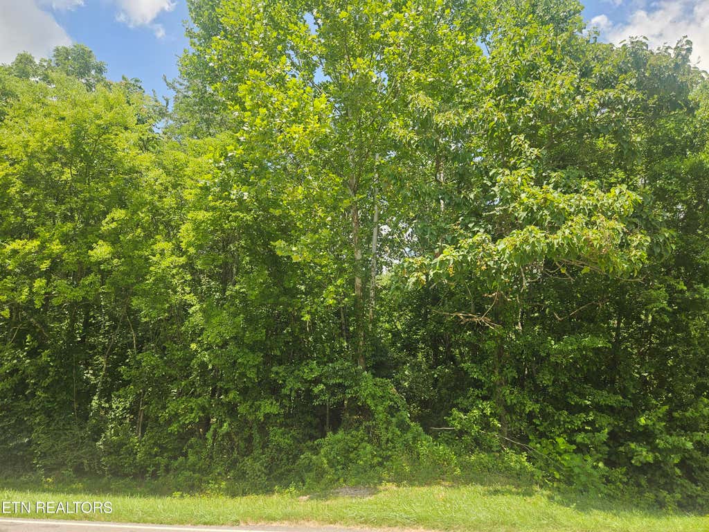 Photo of Loudon Rd #231, Philadelphia, TN 37846 (MLS # 1346613)