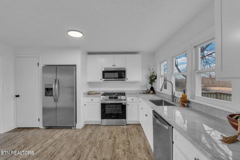 Tiny photo for 251 Country View Road, Crossville, TN 38571 (MLS # 1339456)