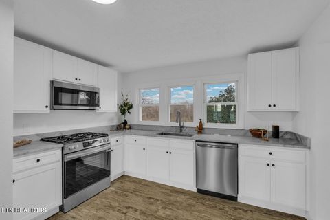 Tiny photo for 251 Country View Road, Crossville, TN 38571 (MLS # 1339456)