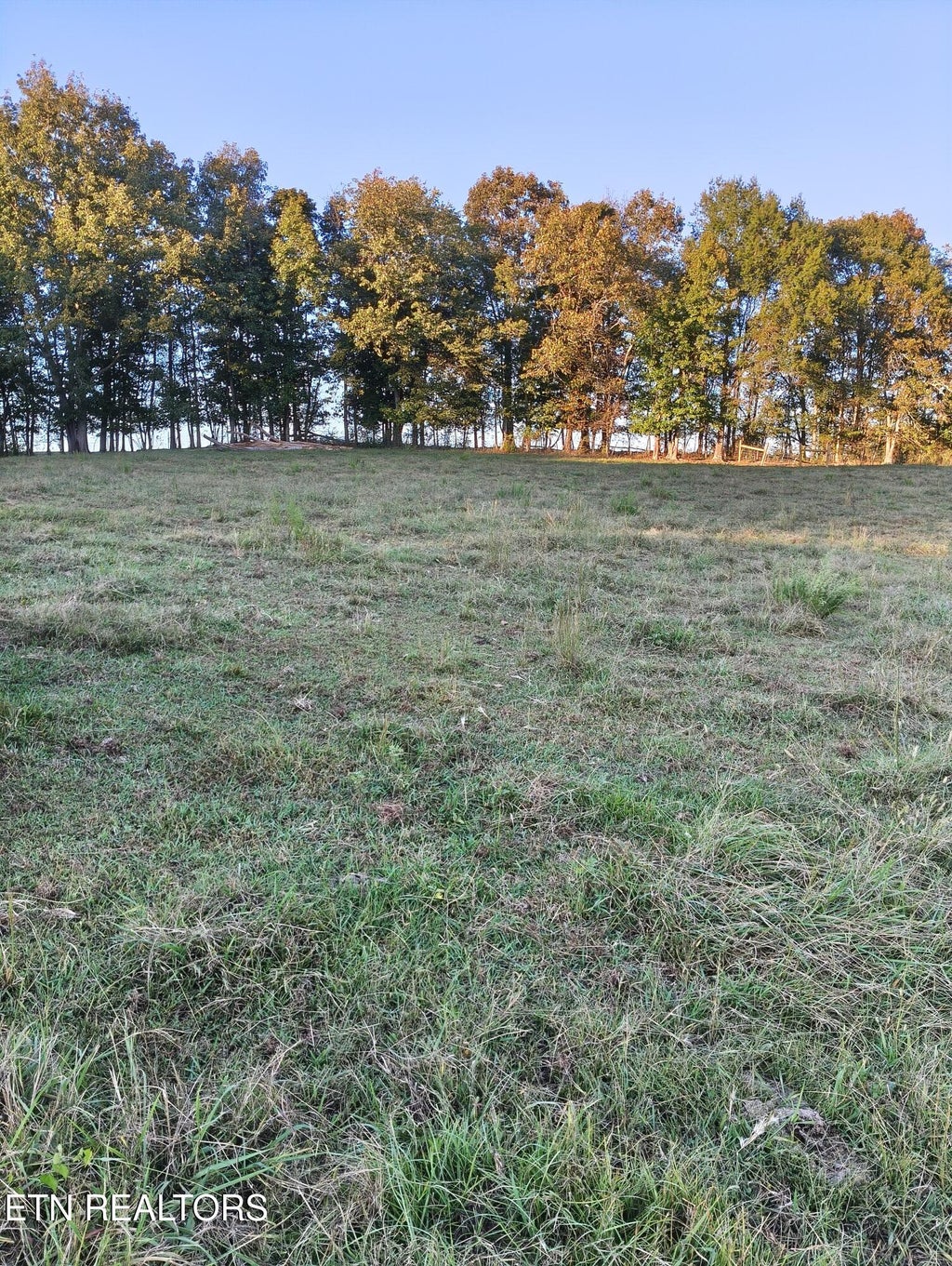 Photo of 2764 Oakland Rd, Philadelphia, TN 37846 (MLS # 1358760)
