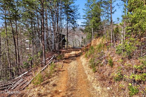 Tiny photo for Lot 314R Duck Hollow Rd, Gatlinburg, TN 37738 (MLS # 1333443)