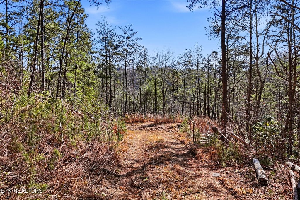 Photo of Lot 314R Duck Hollow Rd, Gatlinburg, TN 37738 (MLS # 1333443)