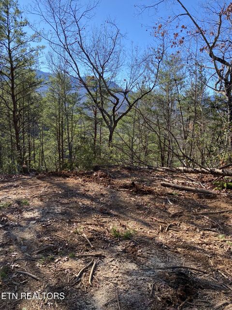 Tiny photo for Lot 314R Duck Hollow Rd, Gatlinburg, TN 37738 (MLS # 1333443)
