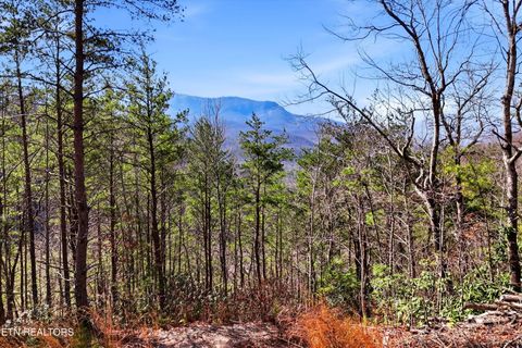 Tiny photo for Lot 314R Duck Hollow Rd, Gatlinburg, TN 37738 (MLS # 1333443)