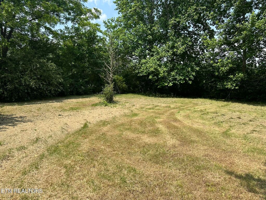 Photo of 581 Disco Loop Rd, Friendsville, TN 37737 (MLS # 1303179)