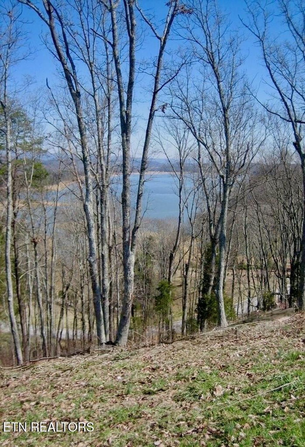 Photo of 2025 Turners Landing Rd, Russellville, TN 37860 (MLS # 1290150)