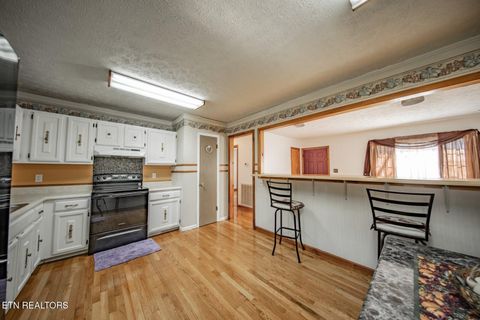 Tiny photo for 339 Bramble Ln, Dandridge, TN 37725 (MLS # 1324375)