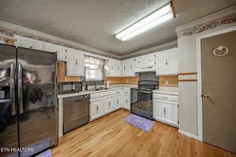 Tiny photo for 339 Bramble Ln, Dandridge, TN 37725 (MLS # 1324375)