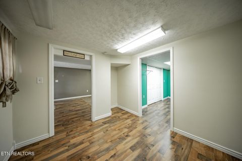 Tiny photo for 339 Bramble Ln, Dandridge, TN 37725 (MLS # 1324375)