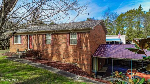 Tiny photo for 339 Bramble Ln, Dandridge, TN 37725 (MLS # 1324375)