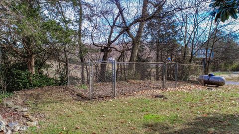 Tiny photo for 339 Bramble Ln, Dandridge, TN 37725 (MLS # 1324375)