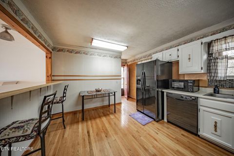 Tiny photo for 339 Bramble Ln, Dandridge, TN 37725 (MLS # 1324375)