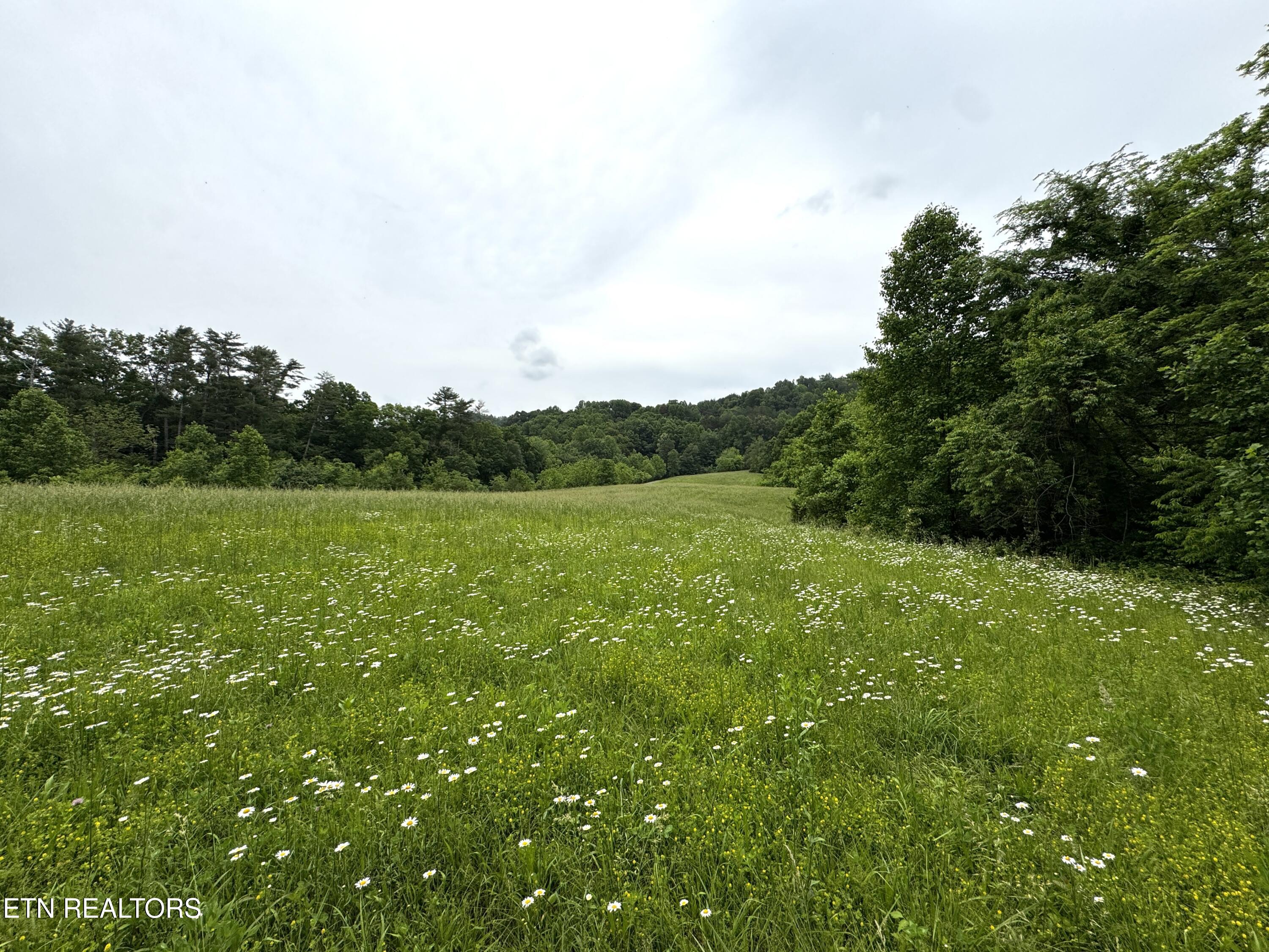 Licklog Hollow Rd