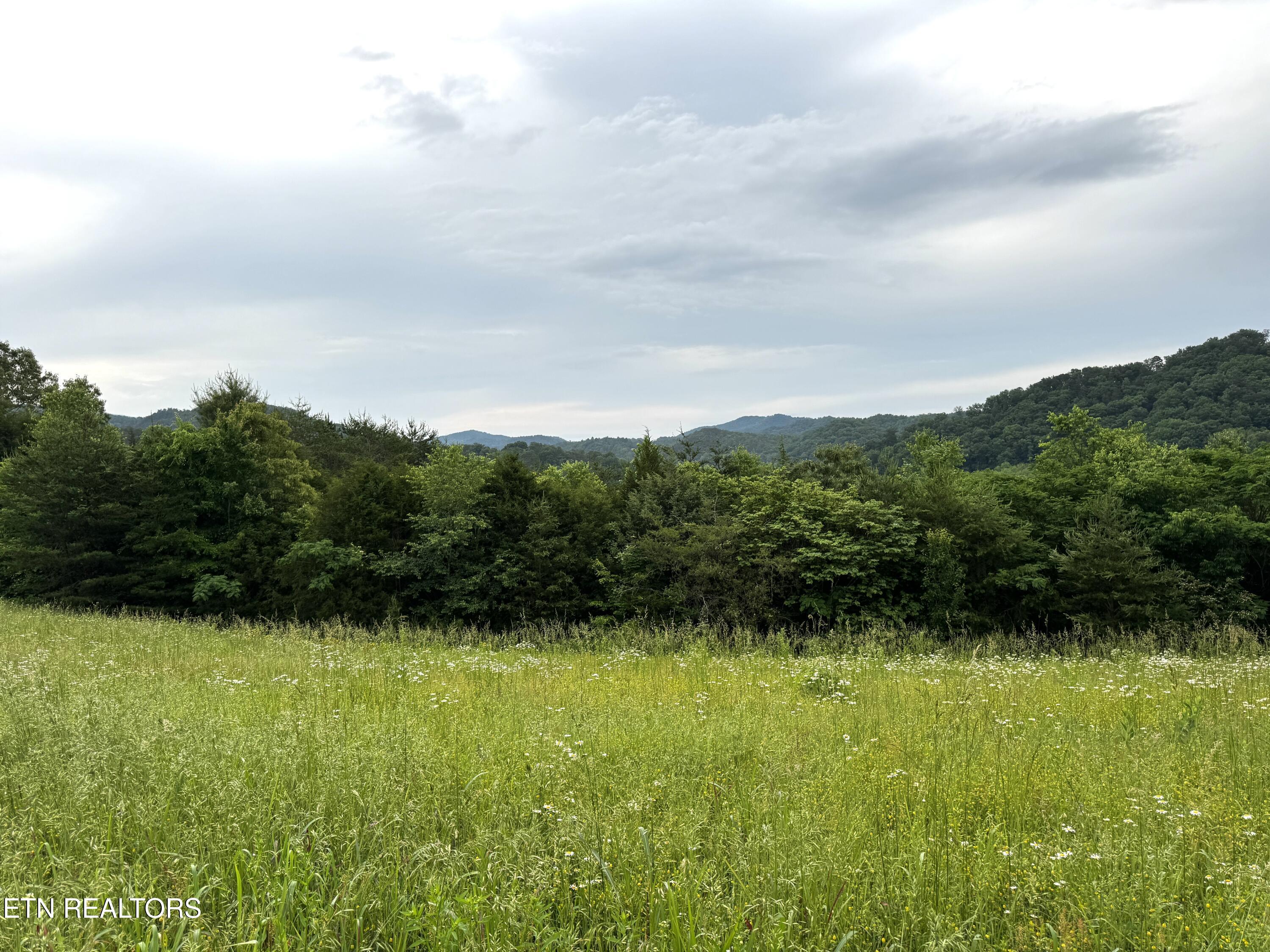 Licklog Hollow Rd