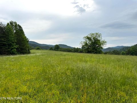 Licklog Hollow Rd Sevierville TN 37876
