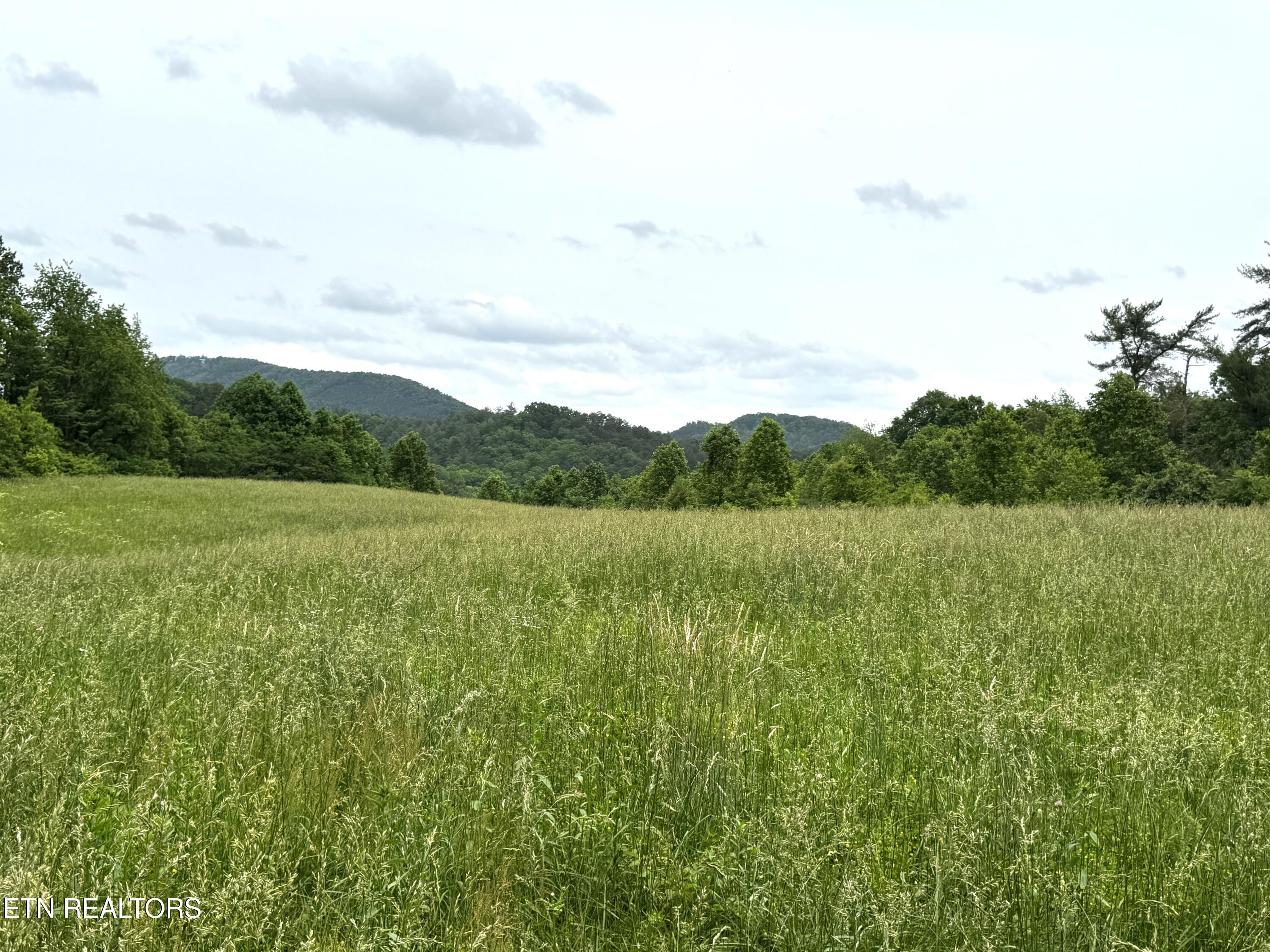 Licklog Hollow Rd