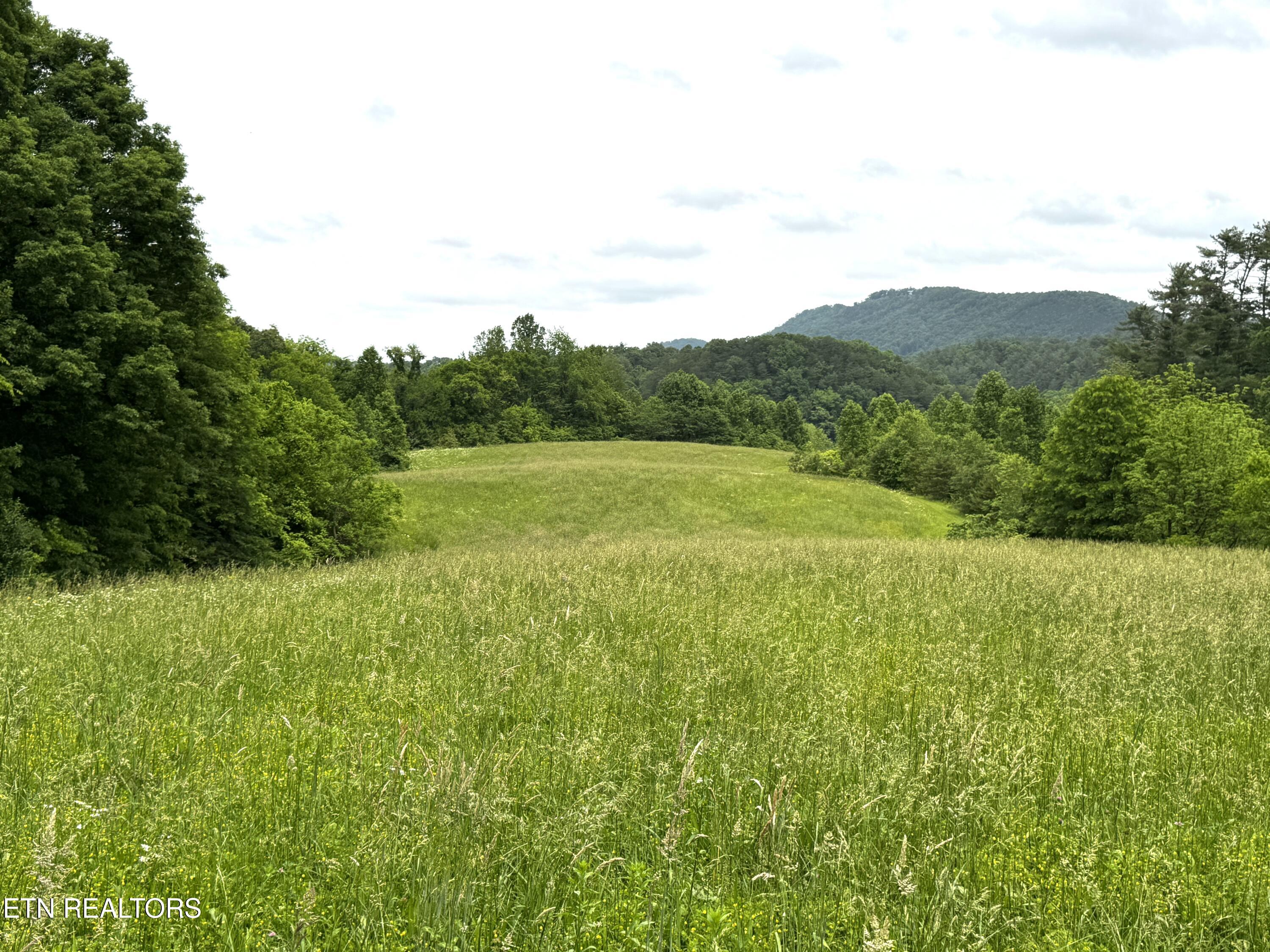 Licklog Hollow Rd