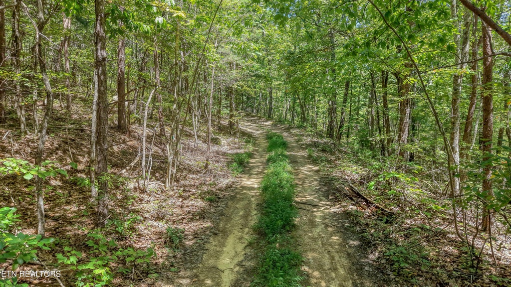 Photo of Avens Lane, Tallassee, TN 37878 (MLS # 1354199)