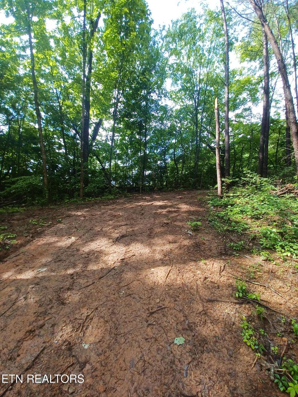 Photo of 0 Huffaker Dr Drive, Strawberry Plains, TN 37871 (MLS # 1303316)