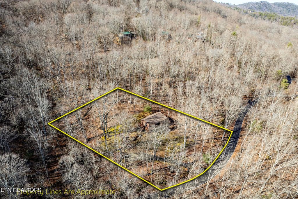 Photo of 1061 Old Cades Cove Rd, Townsend, TN 37882 (MLS # 1288297)