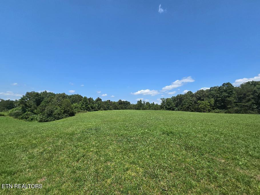 Photo of Al Martin Rd, Robbins, TN 37852 (MLS # 1353642)