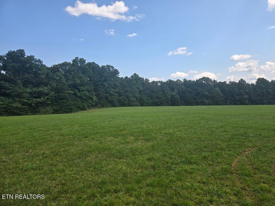 Photo of Al Martin Rd, Robbins, TN 37852 (MLS # 1353642)
