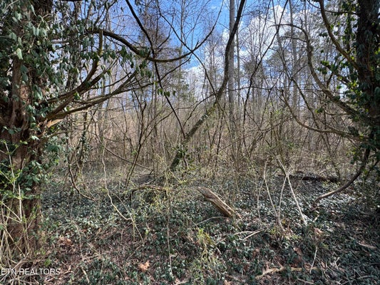 918 MCCUBBINS RD, STRAWBERRY PLAINS, TN 37871 - Image 6adf338feb4121e5f6adbc05a2fc9f3f/1260625291