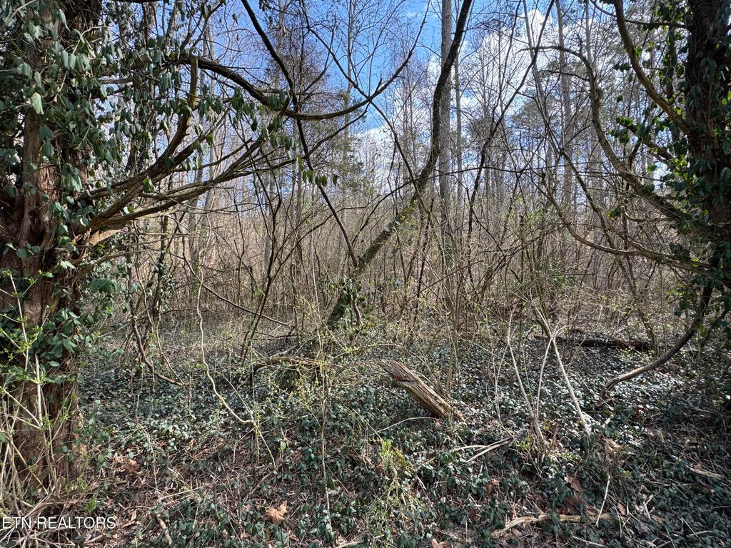 Photo of 918 McCubbins Rd, Strawberry Plains, TN 37871 (MLS # 1292446)