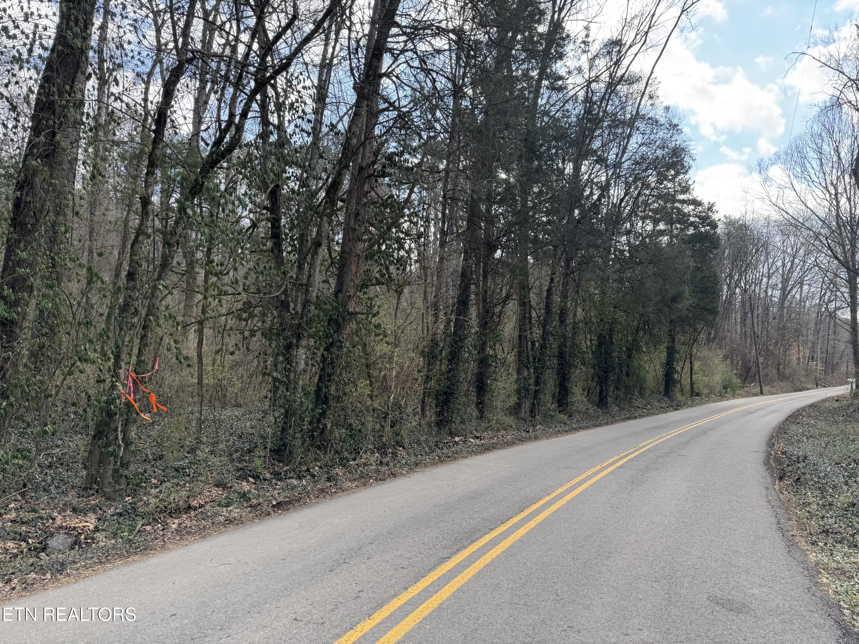 918 McCubbins Rd