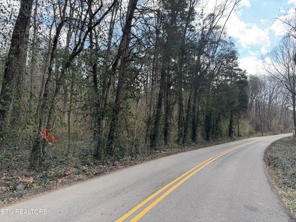 Photo of 918 McCubbins Rd, Strawberry Plains, TN 37871 (MLS # 1292446)