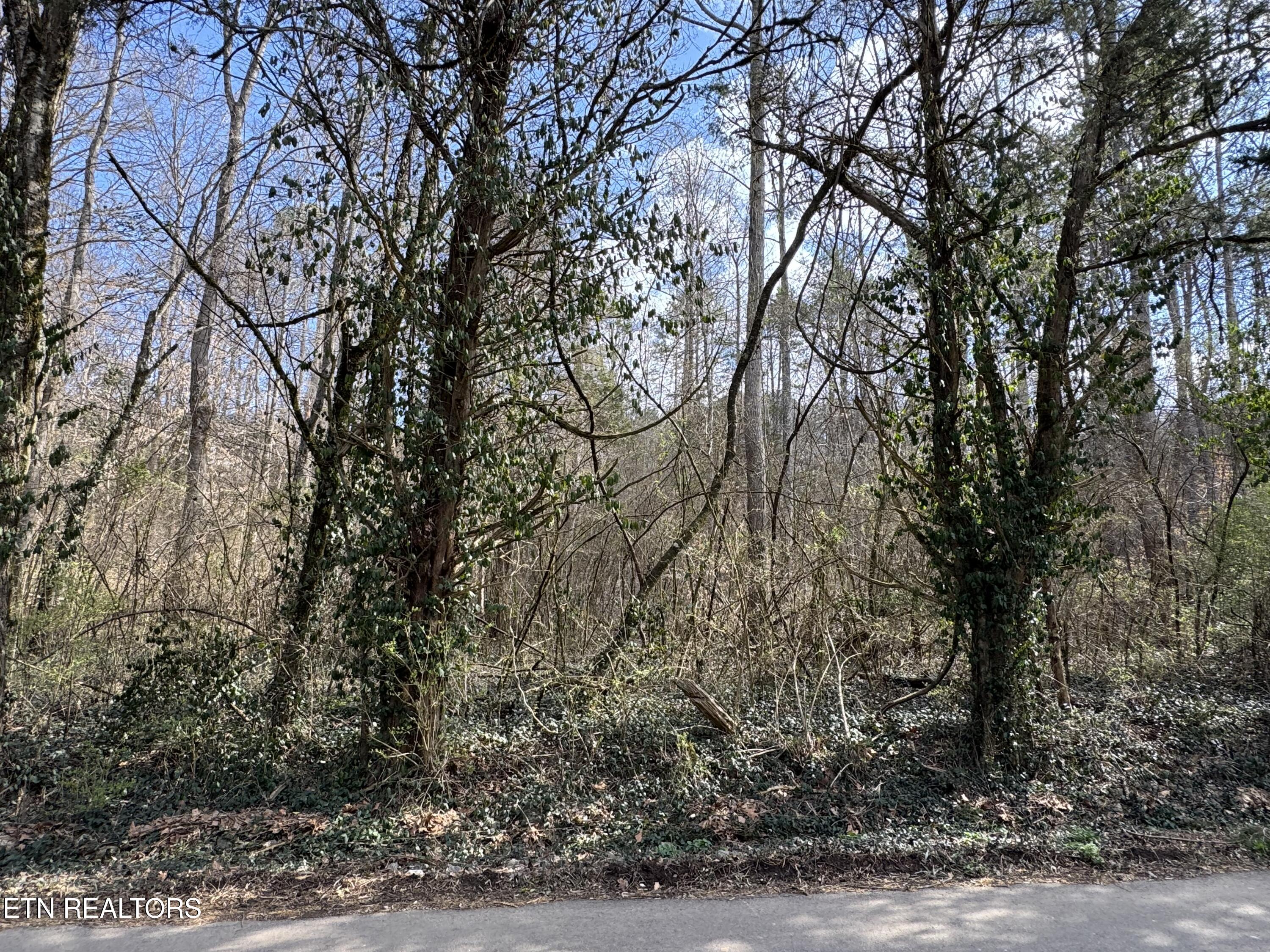 918 McCubbins Rd