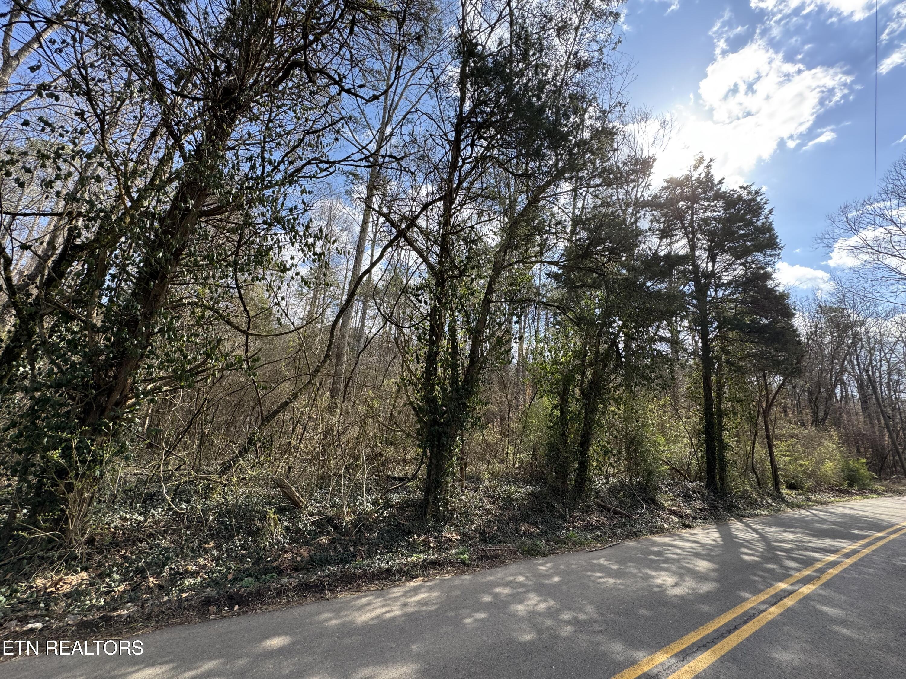 918 McCubbins Rd