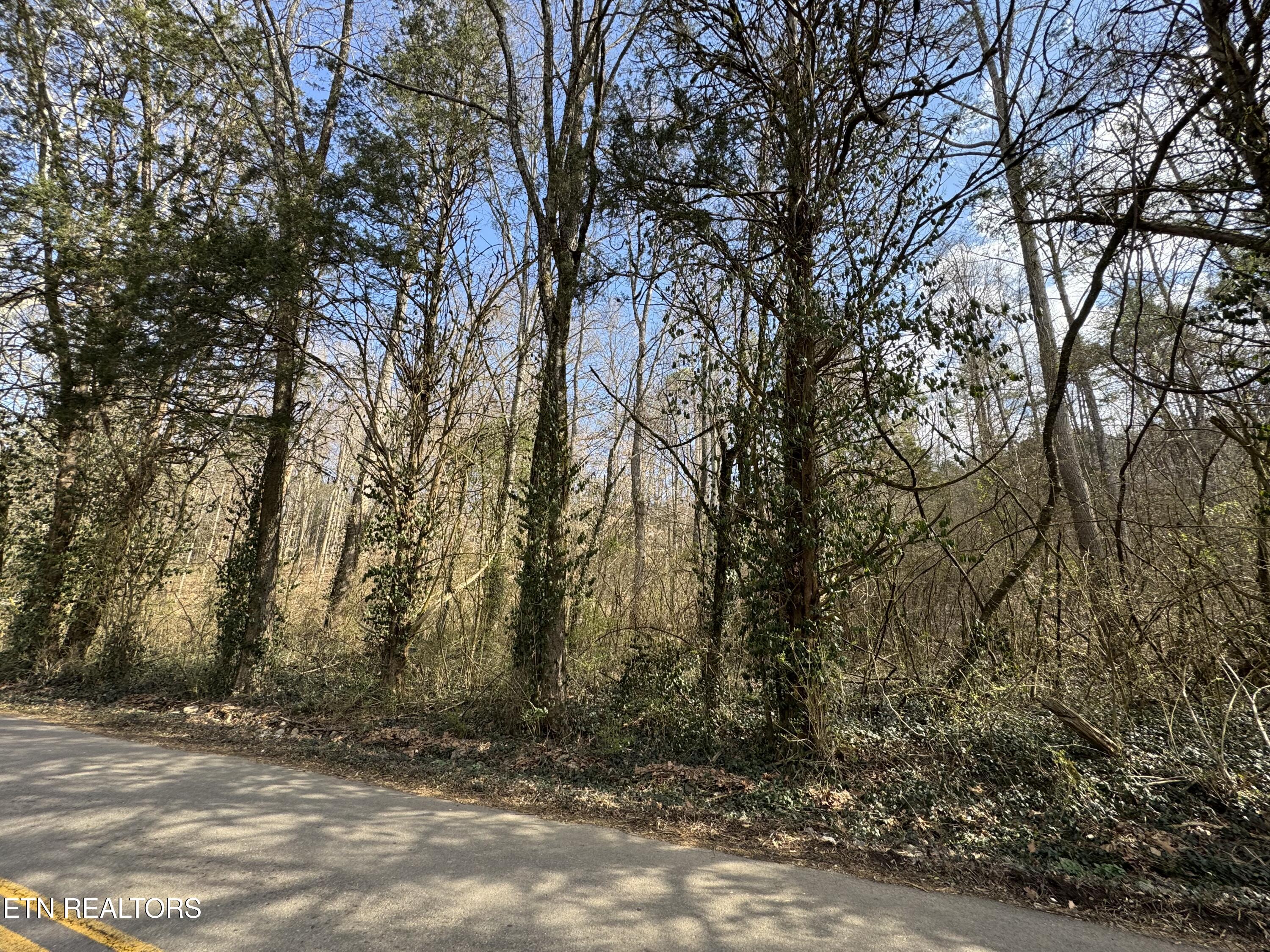 918 McCubbins Rd