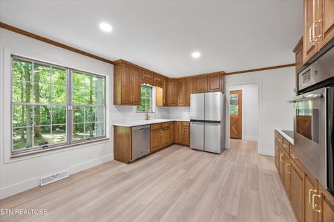 Tiny photo for 159 Sam's Boat Dock Rd, Ten Mile, TN 37880 (MLS # 1328196)